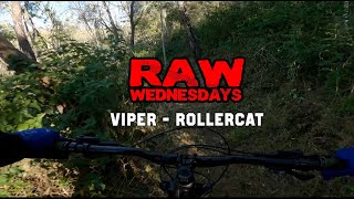 New Viper - Rollercat | Jubilee | RAW WEDNESDAYS