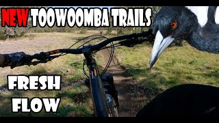 New trails in Toowoomba | Mt Peel