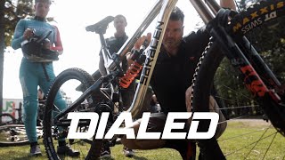 DIALED S3-EP38: Fine tuning for qualifiers in...