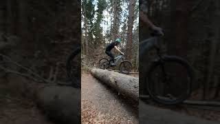 Tree blocking the trail? No problem! #Shorts