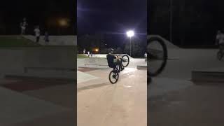 On the skatepark rails with the MTB!  #Shorts