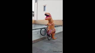 IS THAT A DINOSAUR ON A TRIAL BIKE? - Andrea...