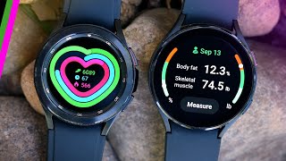 følgeslutning Udråbstegn Statistisk Garmin Venu 2 vs Samsung Galaxy Watch4 // Features & Accuracy Comparison  Video | Trailforks