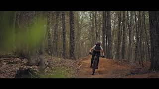 Freeride Mountain Bike in Mont-Tremblant