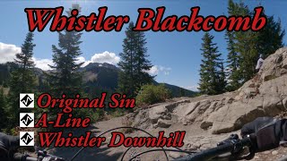 Best Mountain Biking in Whistler Downhill Park...