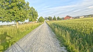 02 July 2021 Løvestad, Hylliskogen, Spydeberg
