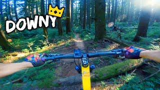 Who Said Easy Trails Can't Be Fun?