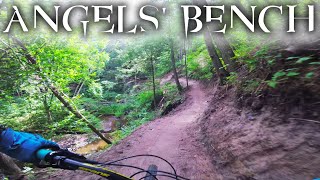 ANGELS' BENCH//MSM QC//2021//A New and...