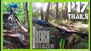 P17 TRAILS//WAKEFIELD QC//2020 - A slice of BC...