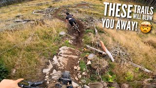 THESE TRAILS WILL BLOW YOU AWAY!!...