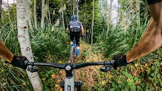 Found a hidden gem near The Lost Coast |...