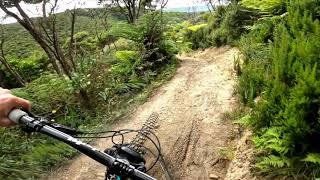 Beeline Mountain Biking Trail - Lower Hutt  Trailforks