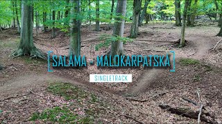 Singletrack Saláma / Bikepark Malé Karpaty /...