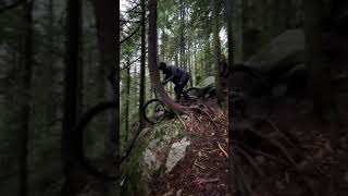 Terrifying North Shore Lines 