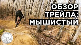 БЫСТРЫЙ ОБЗОР | Трейл...
