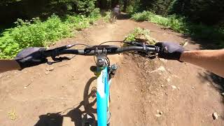 Maxxis SilverStar DH Stan's No Tubes Course...