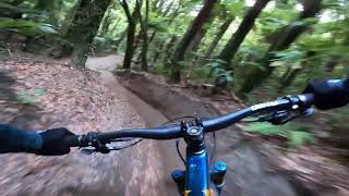 Vaea Verbeeck GoPro POV -  Native Forest...