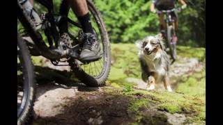2016 Crankworx Whistler - Samsung Deep Summer...