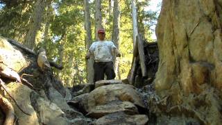 The Great Garbanzo DH Dig Out