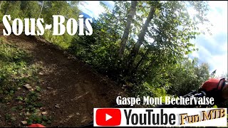 Sous-Bois - Gaspé - Mont Béchervaise