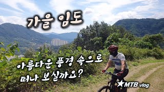 [가을] 아름다운 풍경 가곡리 임도...