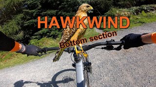 Hawkind bottom