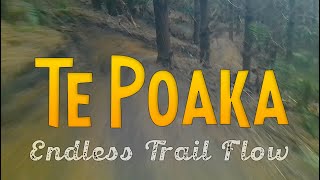 Te Poaka - Blind Run - New Track Opening in...