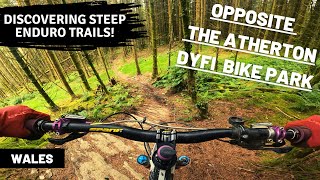Dyfi Forest MTB | Enduro Trails opposite the...