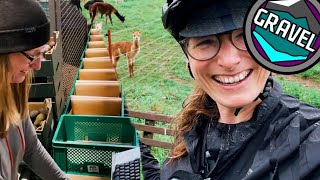 Was ich so mache | MTBTravelGirl