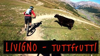 MTB Livigno 18.09.2021 TUTTIFRUTTI (Carosello...