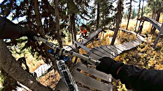 kicking horse