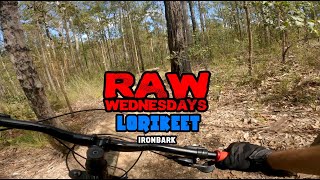 Lorikeet | Samford/Ironbark | RAW WEDNESDAYS