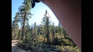 Downieville Butcher Gorge, Momentum is the Key!