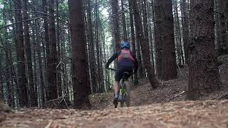 Narnia's Forest // Mountain Biking