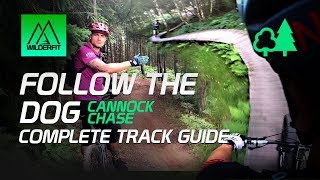 Follow The Dog, Cannock Chase MTB - The...