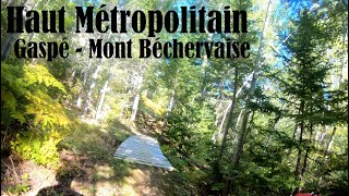 Haut Métropolitain - Gaspé, Mont Béchervaise