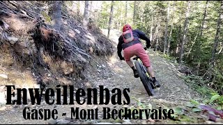 Enweillenbas Section du bas - Gaspé, Mont...