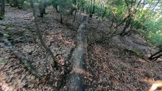 Bokka - Roveta Trail Center