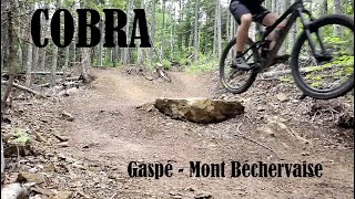Cobra - Gaspé, Mont Béchervaise