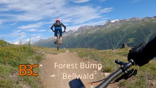 Forest Bump - der 1a Flowtrail vom Bikepark...