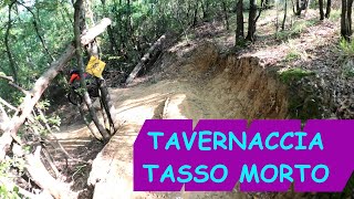 MTB Roveta 02.10.2021 sentiero TAVERNACCIA