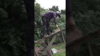 MASSIVE BONER LOG 360 #mtb #shorts #newzealand