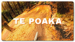 Brand New Te Poaka!  |  The Highway of Rotorua...