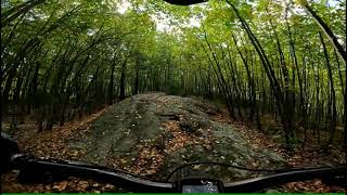 Fish Trail Oct 1, 2021