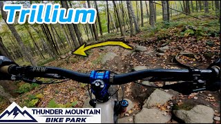 Trillium 2021 - Thunder Mountain Chunk