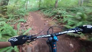 Mountain biking on Yew Haw at Thurston Hills...