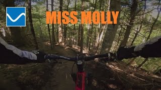 Grey Mountain - Miss Molly