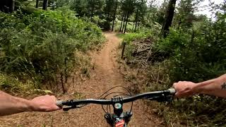 Father Ted @ Lake Mangamahoe MTB Park