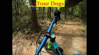 Four Dogs