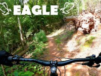 Eagle - Allegrippis Trails | Huntingdon, PA